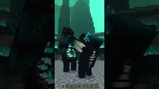 Warden vs Zorden
