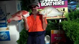 Offshore Catch Gallery: Grass sweetlip and Red Emperor at Murphy's Reef.