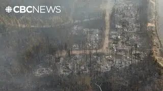 'Every structure had burned to the ground': evacuee shares haunting images of East Trout Lake region