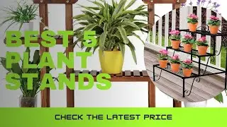 ✅ Best 5 Plant Stands (TOP 5 Best Plant Stands )