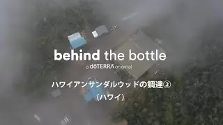 Behind the Bottle：ハワイアンサンダルウッドの調達②（ハワイ）