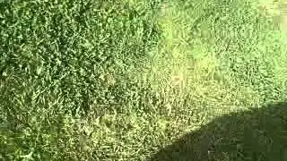 Arturo de los praos teo 2 ep 3
