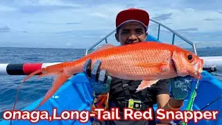 Long-Tail Red Snapper || onaga || slowjigging