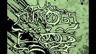 BIGDOGBRODAVE Presents Phrogs on a Log, Zombie Shot, Heavy Metal Bash II, Hilo Town Market, Hawai'i.