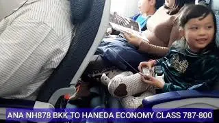 ANA 787-800 Economy Class
