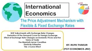 The Price Adjustment Mechanism with Flexible & Fixed Exchange Rates| International Economics