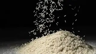Long Basmati Rice 🌾 Falling Glass/Glass Falling Basmati Rice 🌾/Basmati Rice 🌾/Rice 🌾 Falling/Rice 🌾