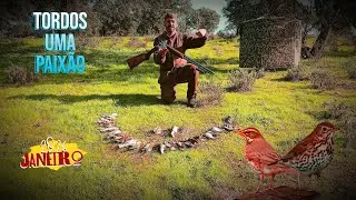CA&Ccedil;A AOS TORDOS 4 JANEIRO 2026,  ZORZALES.. CAZA.. GRIVE.. CHASSE..