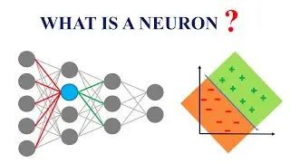 NEURON - Graphically Explained