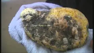Is whale vomit 'floating gold'?