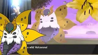 LIVE!! Full Odds Shiny Volcarona Reaction after 3227 SRs in Pok&eacute;mon Shield DLC