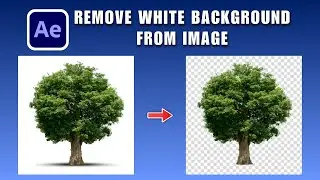How to Remove White Background in After Effects 2026