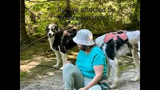 Are we HSP/D? Are we easily affected by other's moods?