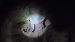 AusTurtle Bare Sand Island Trip 2016