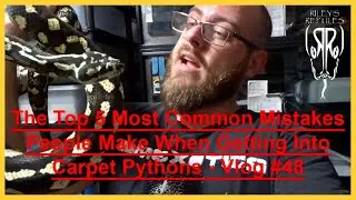 The Top 5 Most Common Mistakes People Make When Getting Into Carpet Pythons - Vlog #48