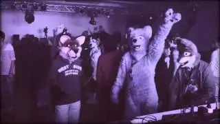 The secret fursuit dance from the 70ies (CFD 8 70ies vintage style)