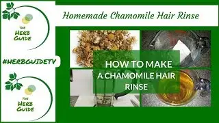How to Make a Chamomile Hair Rinse for Subtle Highlights