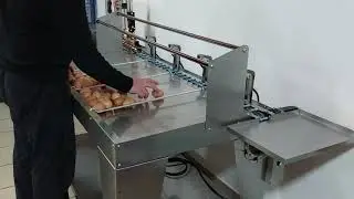 Eier sortieren - OVO LUX 8000 Eiersortimermaschine