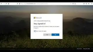 Office365 change timezone