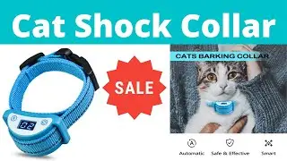 Cat Shock Collar | Cat Training Collar