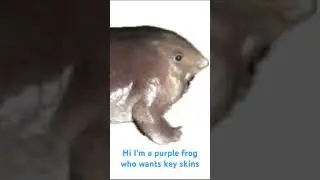 I WANT KEY SKINS