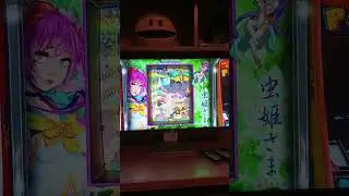 Testing the Mushihimesama bezel on my PC