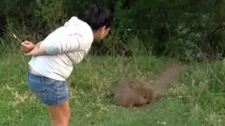 Wombat Kangaroo Valley Camping