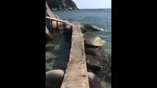Freedom beach and John Suwan Viewpoint Koh Tao