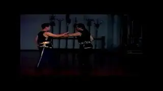 Hung Gar Wing Lam  -  Shaolin Iron Palm  -  (Il Palmo Di Ferro di Shaolin)