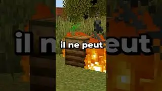 Quelle est la maison la plus petite de toutes les minecraft ?