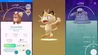 Hitmonchan! Grimer catching, egg hatching... (Pokemon Go)