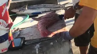 Cutting & Cooking Fish on the Beach