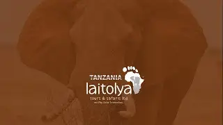 Laitolya Tours and Safaris intro