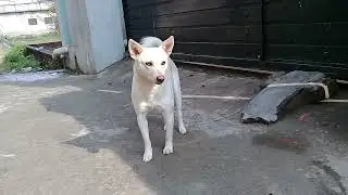 20260127 111629