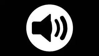 Birds Swarm Sound Effect - Free Download & No Copyright
