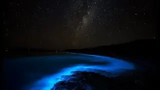 Nebula - Echo Location [Digital Release]