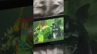 Getting max hearts and stamina in botw