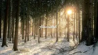 ENiGMA Dubz - In Control (Vibes Edit)