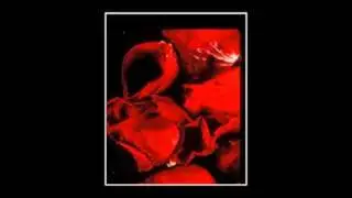 johnny duhan - flame