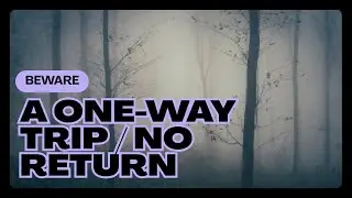 TOP 8 MYSTERIOUS FORESTS: Science Fails to Explain These Supernatural Phenomena!
