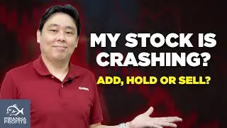 My Stock is Crashing! Will I Buy More, Hold or Sell?