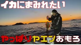 【ヤエン釣り】あたりが多いと面白くって2日半没頭してしまった2025年末【高知県】