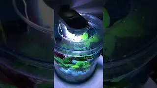 Upgrade light Marina 360 with COB LED
