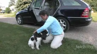 Fetchdog - 