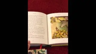 Illustrated Stories