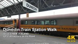 POV Drive in New Zealand EP37 Attractions Walk | Dunedin Train Station 4K 60fps