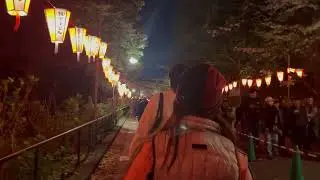 Tokyo by night Cherry Blossom park . 4/2025