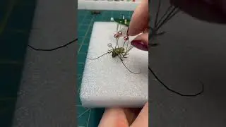 Longhorn Beetles #naturalwonders #entomology #ethical #insects  #educational #pinning-process