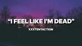 xxxtentaction 
