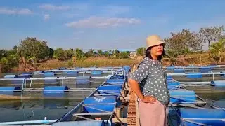 A full view of the fish farm and the beautiful scenery